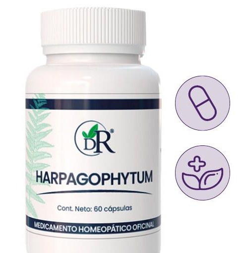 Harpagophytum